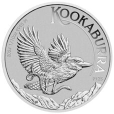 Kookaburra Platin