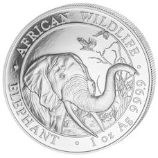 Somalia Elefant