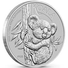 Koala en platine