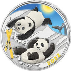 China - Panda 2022 Ski Colored