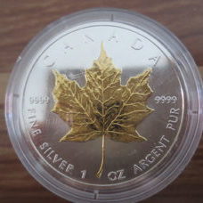 1 oz - Maple Leaf 2003 doré