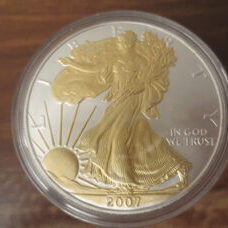 1 oz - American Eagle 2007 Doré