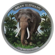 1 Unze - Kambodscha "Asia Big Five" Elefant 2023 Colored