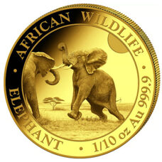 1/10 Unze Gold - Somalia Elefant 2024