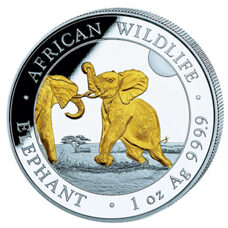 1 Unze - Somalia Elefant 2024 Gilded