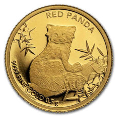 0.5 Gramm Gold - Tschad Red Panda 2024