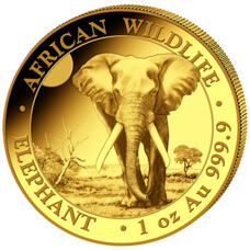 1 Unze Gold - Somalia Elefant 2025