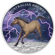 1 Unze - Australien Brumby 2024 Colored