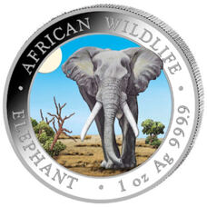 1 Unze - Somalia Elefant 2025 Colored