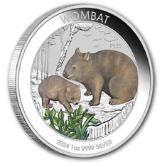 1 oz - Australie Wombat 2024 coloré