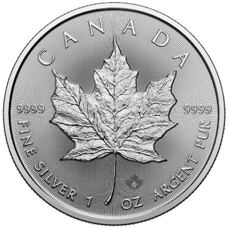 1 tube de 25 pièces - 1 oz Maple Leaf 2025