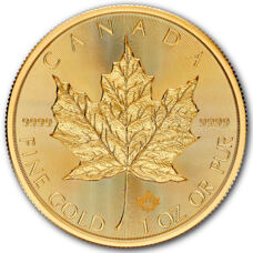 1 oz d'or - Maple Leaf 2025