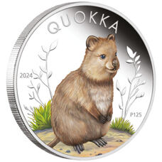 1 Unze - Australien Quokka 2024 Proof Colored