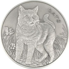 5 Unzen - Fiji "Cats" Hauskatze 2022 Antik Finish