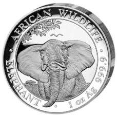 1 Unze - Somalia Elefant 2021 Ultra High Relief Proof