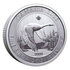 2 oz - Canada Oie sauvage 2025